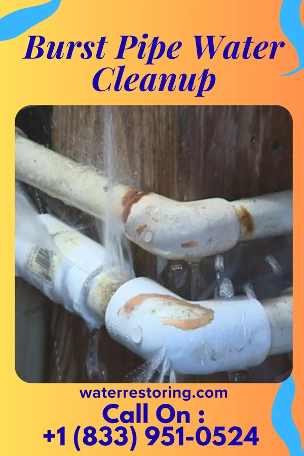Burst Pipe Water Cleanup in Springdale, SC