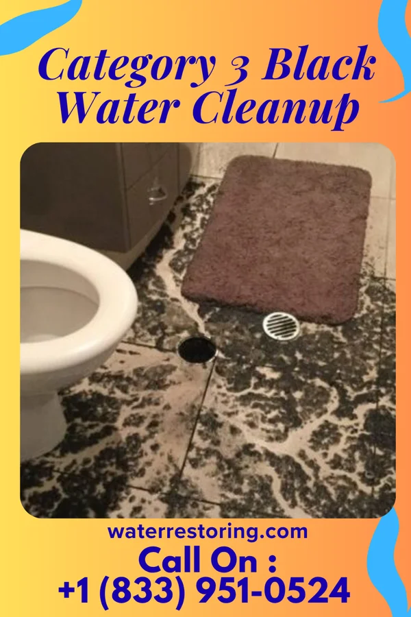 Category 3 Black Water Cleanup in Springdale, SC