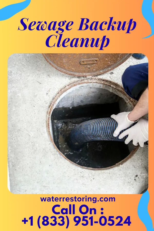 Sewage Backup Cleanup in Springdale, SC