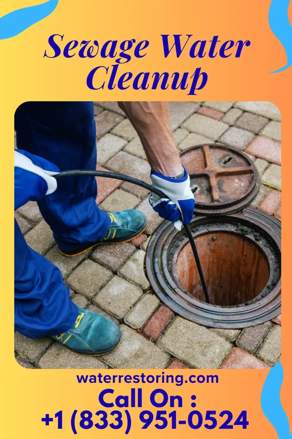 Sewage Water Cleanup in Springdale, SC